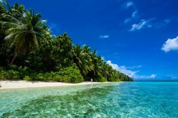 White Sand Beach In Turquoise Water In The Ant Atoll, Micronesia | Obraz na stenu