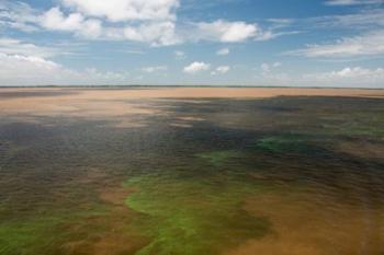 Brazil, Amazon River, Algae bloom | Obraz na stenu