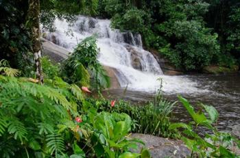 Rainforest waterfall, Serra da Bocaina NP, Parati, Brazil (horizontal) | Obraz na stenu