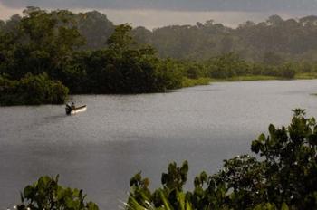 Quichua Indian in Dugout Canoe, Napo River, Amazon Rain Forest, Ecuador | Obraz na stenu