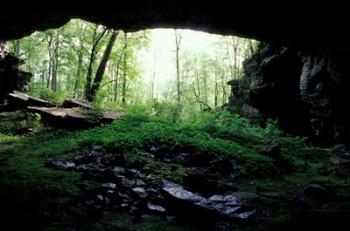 Entrance to Russell Cave National Monument, Alabama | Obraz na stenu