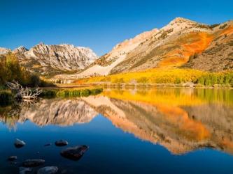 California, Eastern Sierra, Fall Color Reflected In North Lake | Obraz na stenu