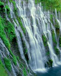 Burney Falls, California | Obraz na stenu