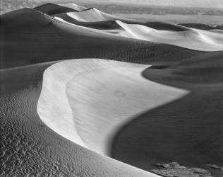 Californian Valley Dunes (BW) | Obraz na stenu