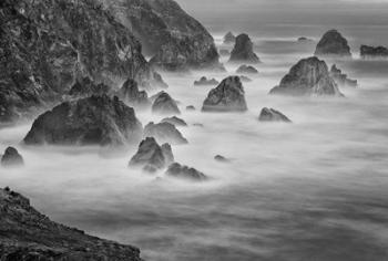 California, Mendocino Coast, Bodega Bay (BW) | Obraz na stenu