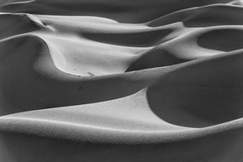 Desert Dunes, California (BW) | Obraz na stenu