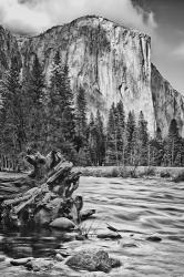 California, Yosemite, El Capitan (BW) | Obraz na stenu