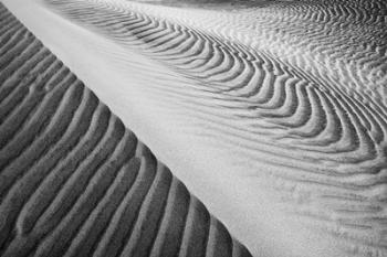 Close Up Of Valley Dunes, California (BW) | Obraz na stenu