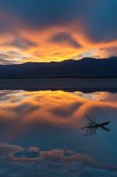 Lone Branch At Cotton Ball Basin | Obraz na stenu