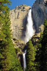 Upper and Lower Yosemite Falls, Merced River, Yosemite NP, California | Obraz na stenu