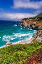 The Big Sur Coast At Rocky Point | Obraz na stenu