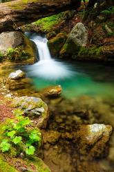 Small Cascade On Hare Creek | Obraz na stenu