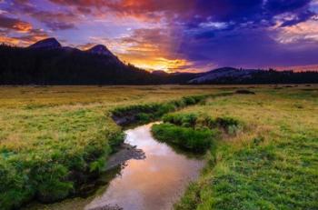 Sunset Over Tuolumne Meadows Along Budd Creek | Obraz na stenu