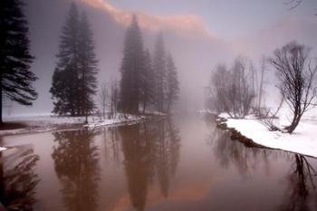 Valley mist, Yosemite, California | Obraz na stenu