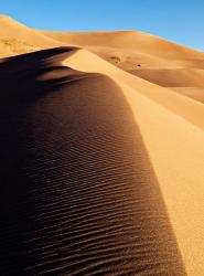 Great Sand Dunes National Park And Preserve | Obraz na stenu