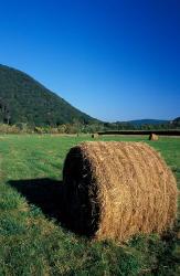 Hay Bales in Litchfield Hills, Connecticut | Obraz na stenu