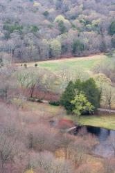 Spring Forest in East Haddam, Connecticut | Obraz na stenu