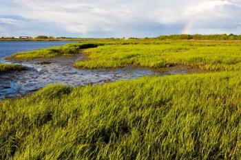 Salt Marsh side of Long Beach,  Stratford, Connecticut | Obraz na stenu