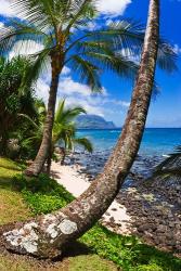 Hideaways Beach, Island Of Kauai, Hawaii | Obraz na stenu