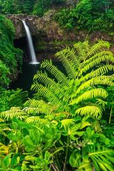 Rainbow Falls, Wailuku River State Park, Hawaii | Obraz na stenu