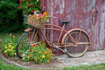 Old Bicycle With Flower Basket, Marion County, Illinois | Obraz na stenu