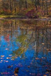 Fall Foliage Reflection In Lake Water | Obraz na stenu