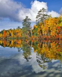 Autumn Scene Of Upper Togue Pond, Maine | Obraz na stenu