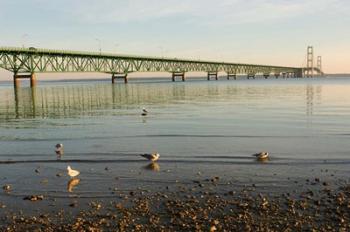 Mackinac Bridge, Mackinaw City, Michigan | Obraz na stenu