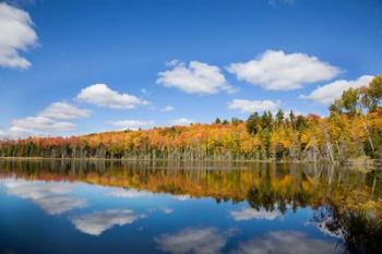 Panoramic View Of Pete's Lake, Michigan | Obraz na stenu