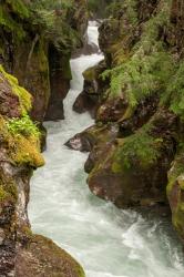 Glacier National Park, Montana Avalanche Creek | Obraz na stenu