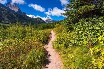 Iceberg Lake Trail, Glacier National Park, Montana | Obraz na stenu