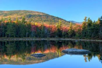 Lily Pond, White Mountain Forest, New Hampshire | Obraz na stenu