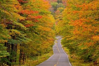 White Mountain National Forest, New Hampshire | Obraz na stenu