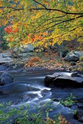 Packers Falls on the Lamprey River, New Hampshire | Obraz na stenu