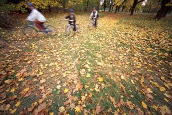 Riding Bikes in Late Fall, New Hampshire | Obraz na stenu