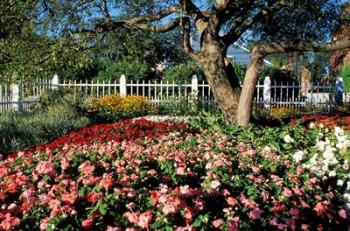 Prescott Park, New Hampshire | Obraz na stenu