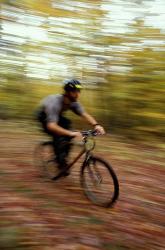 Mountain Biking, Old Logging Road, New Hampshire | Obraz na stenu