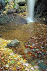 Pitcher Falls in White Mountains, New Hampshire | Obraz na stenu