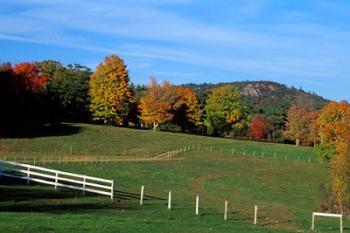 Horse Farm in New England, New Hampshire | Obraz na stenu