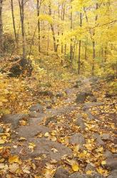 Rock Stairs on the Sugarloaf Trail, White Mountain National Forest, New Hampshire | Obraz na stenu