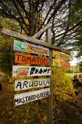 Farm stand in Holderness, New Hampshire | Obraz na stenu