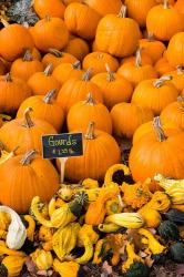 Gourds, Meredith, New Hampshire | Obraz na stenu