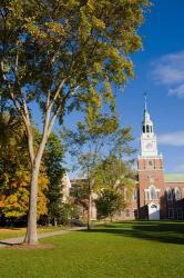 Education, Dartmouth College, New Hampshire | Obraz na stenu