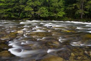 Connecticut River, Pittsburg, New Hampshire | Obraz na stenu