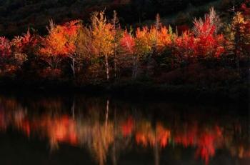 Fall Foliage with Reflections, New Hampshire | Obraz na stenu