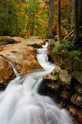 Pemigewasset River in Franconia Notch State Park, New Hampshire | Obraz na stenu