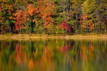 Reflected autumn colors at Echo Lake State Park, New Hampshire | Obraz na stenu