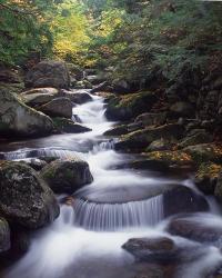 Gordon Water Falls, Appalachia, White Mountains, New Hampshire | Obraz na stenu