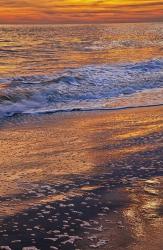 Sunset Reflections, Cape May NJ | Obraz na stenu