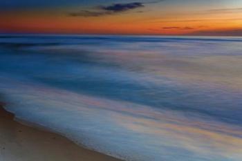 Seashore Landscape 1, Cape May National Seashore, NJ | Obraz na stenu